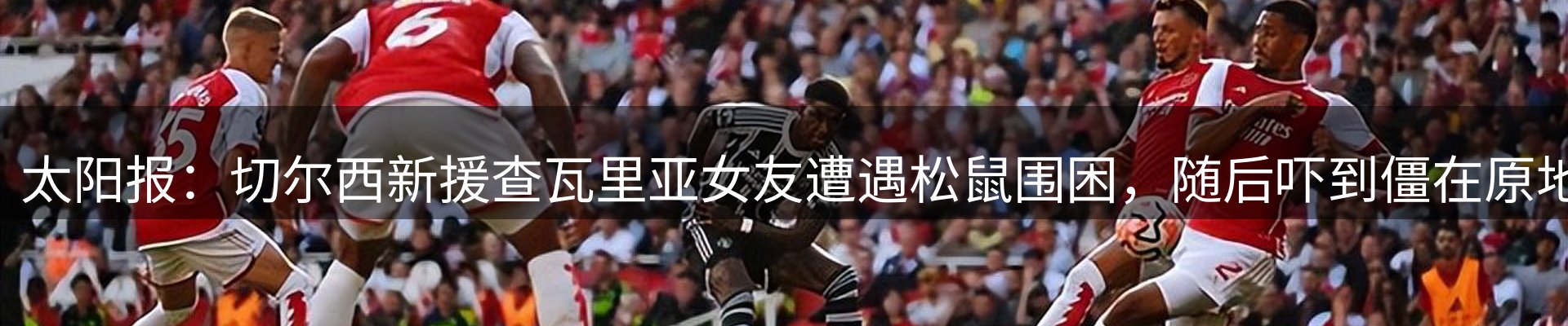 新闻中心