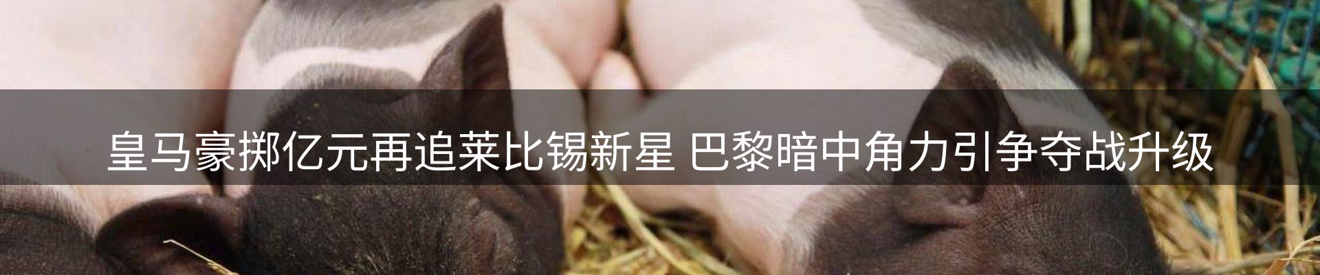 新闻中心